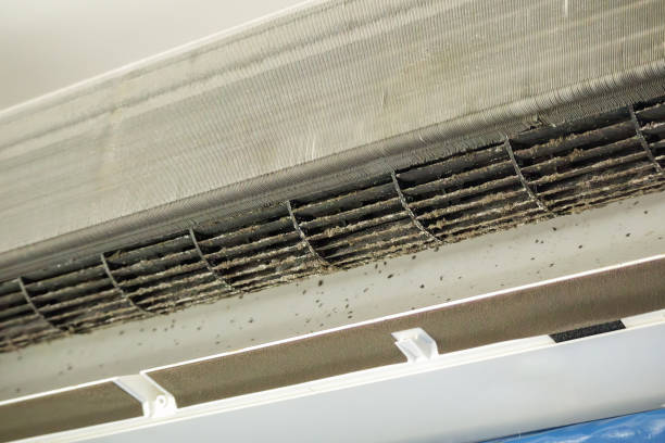 Best Air Duct Cleaning Near Me  in Daytona Beach Shores, FL